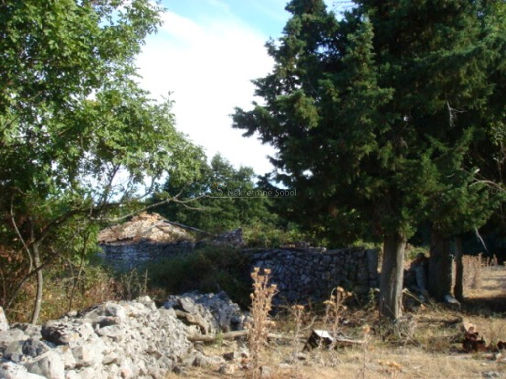 Image 6244910 - 9