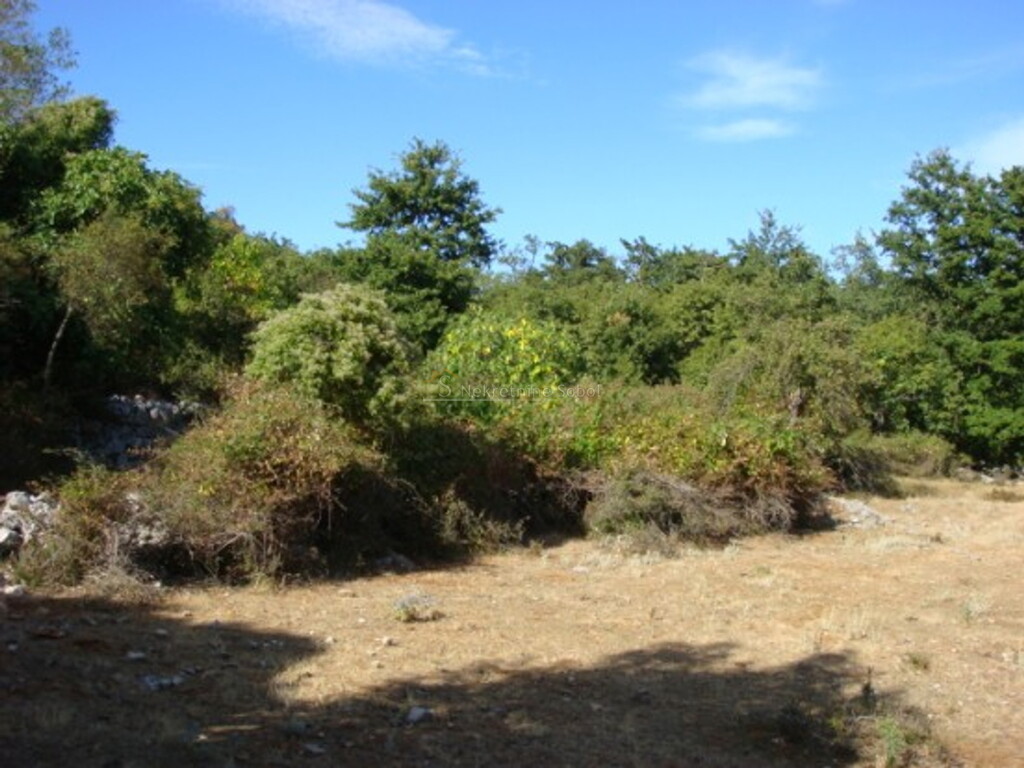 Image 6244910 - 8