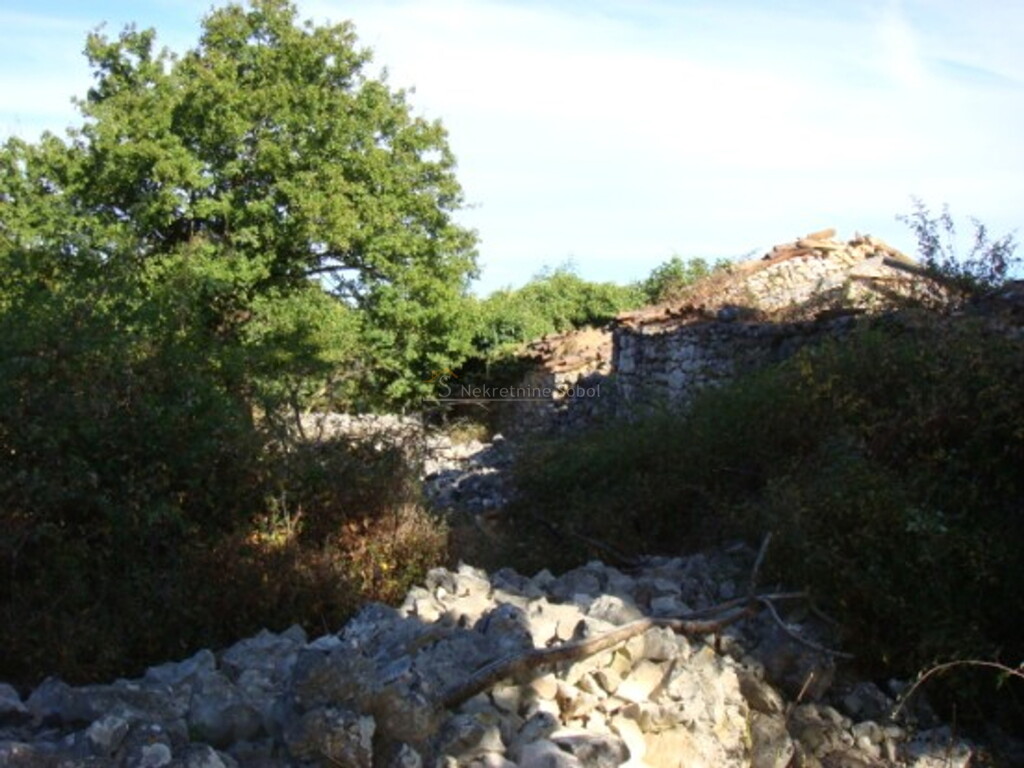Image 6244910 - 11