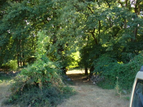 Thumbnail 6244910 - 3