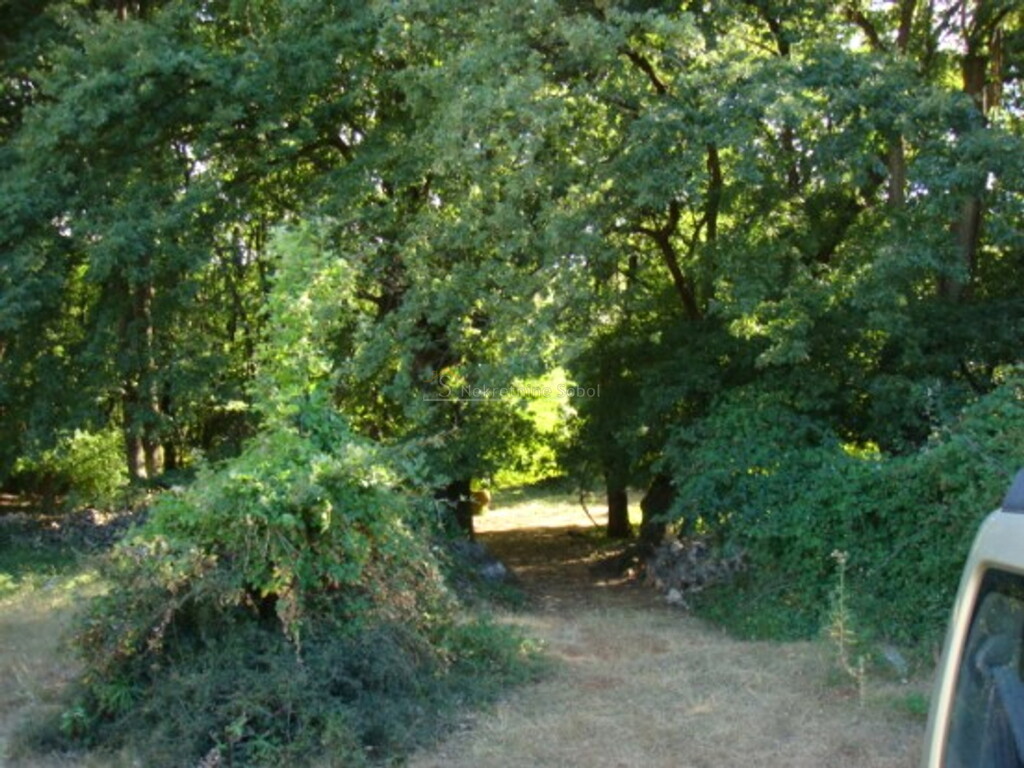 Image 6244910 - 3