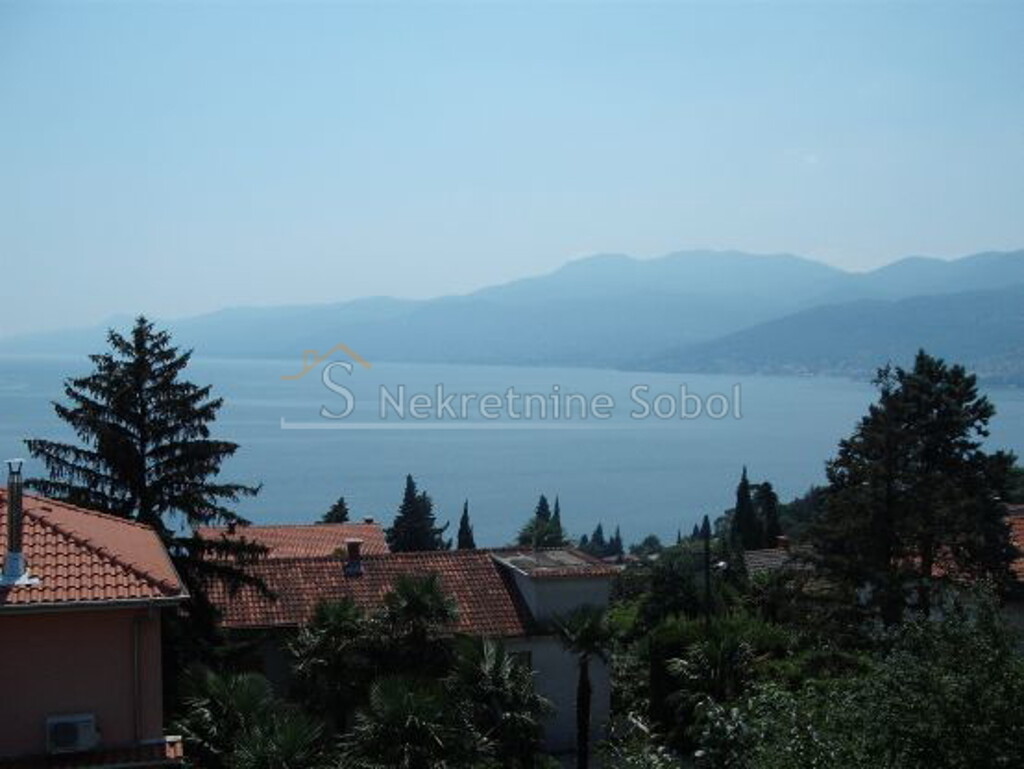 Image 6244911 - 6