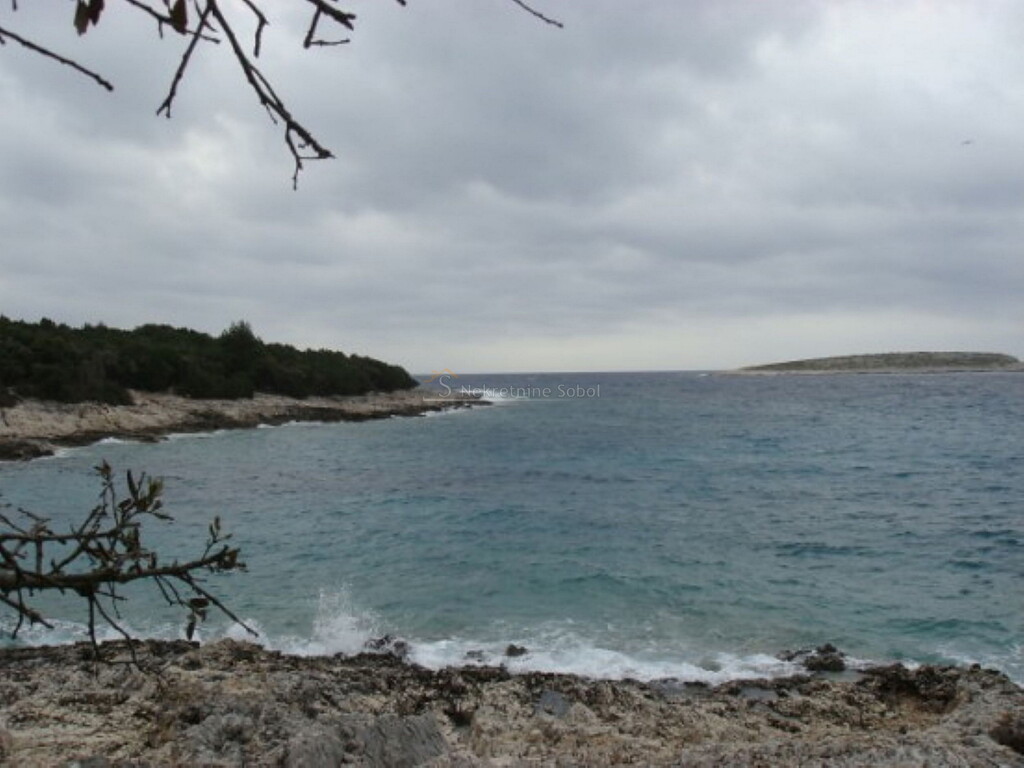 Image 6244912 - 3
