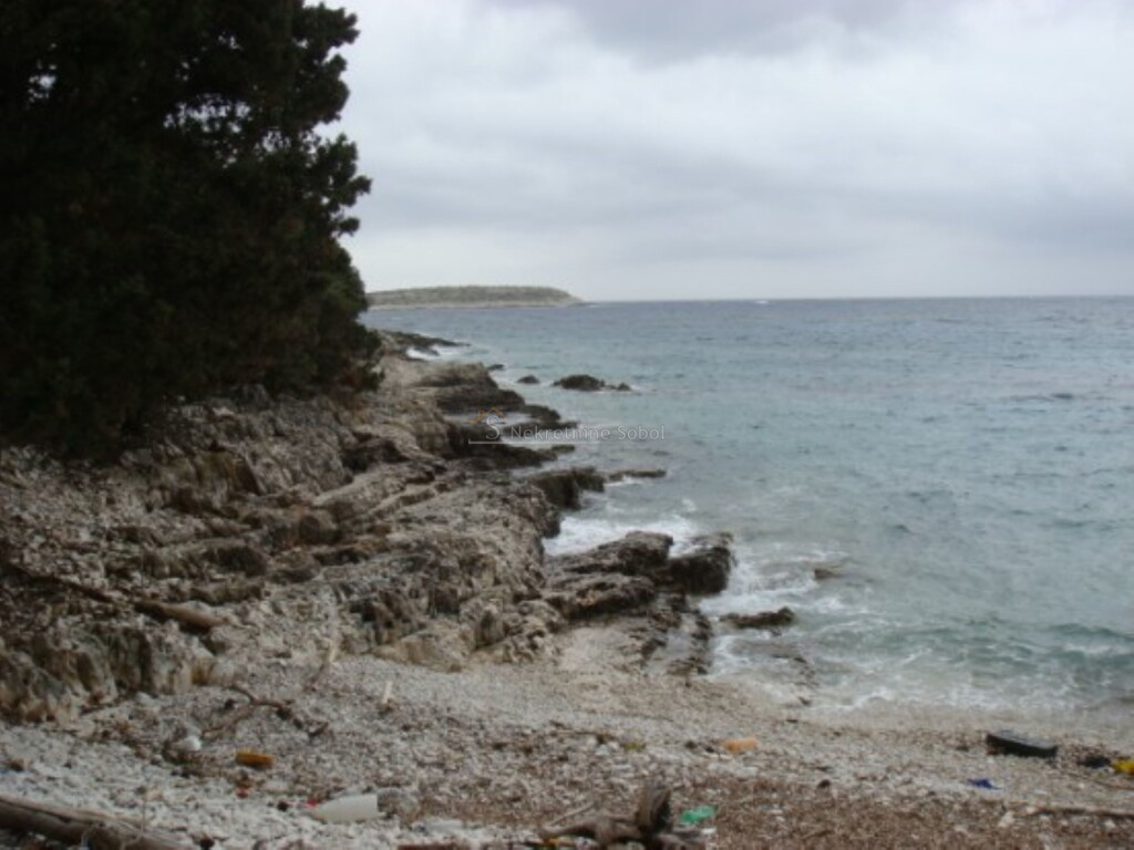 Image 6244912 - 11