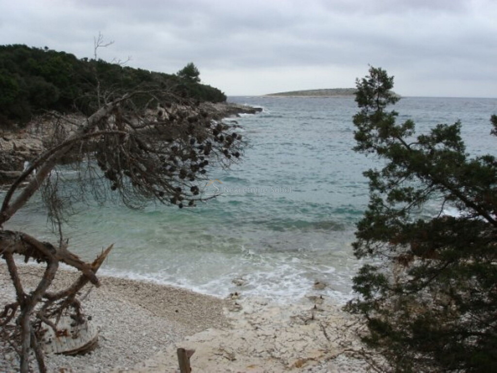 Image 6244912 - 5