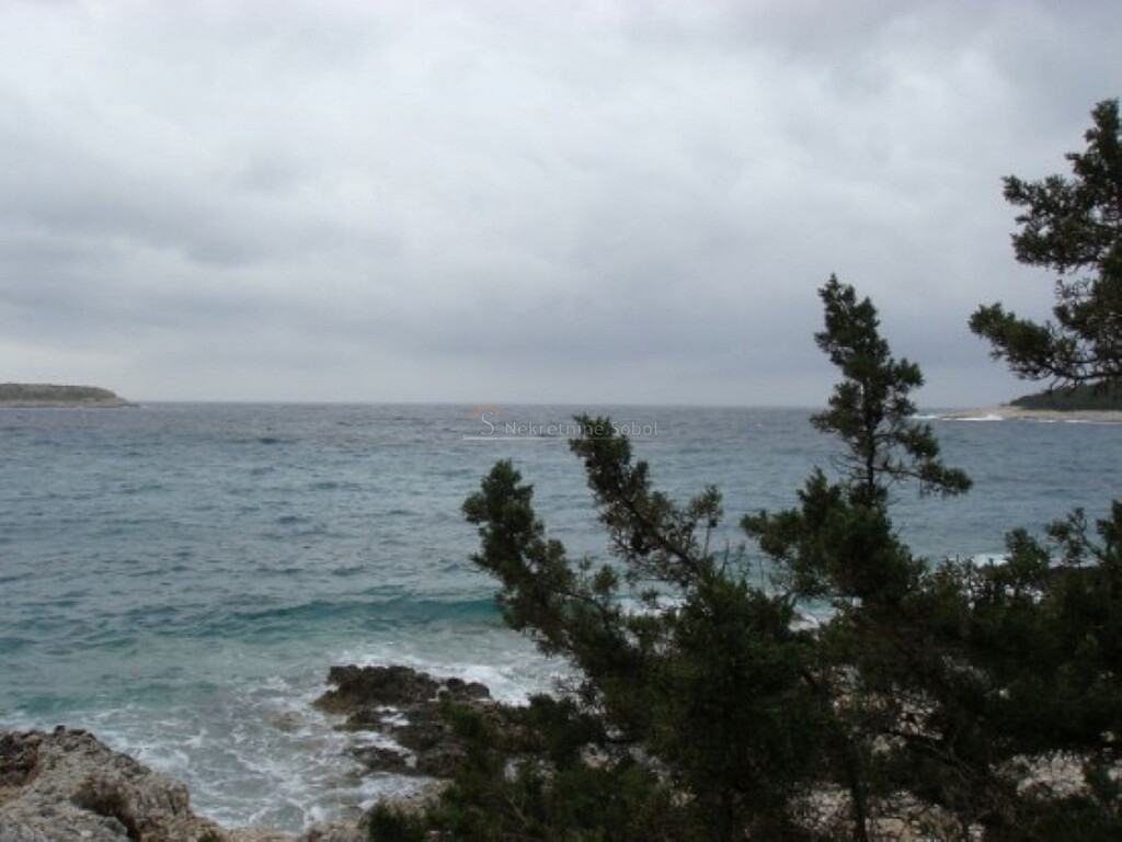 Image 6244912 - 2