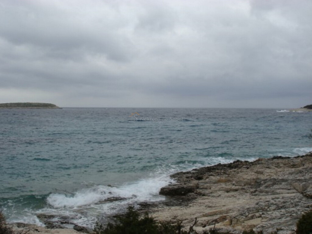 Image 6244912 - 4