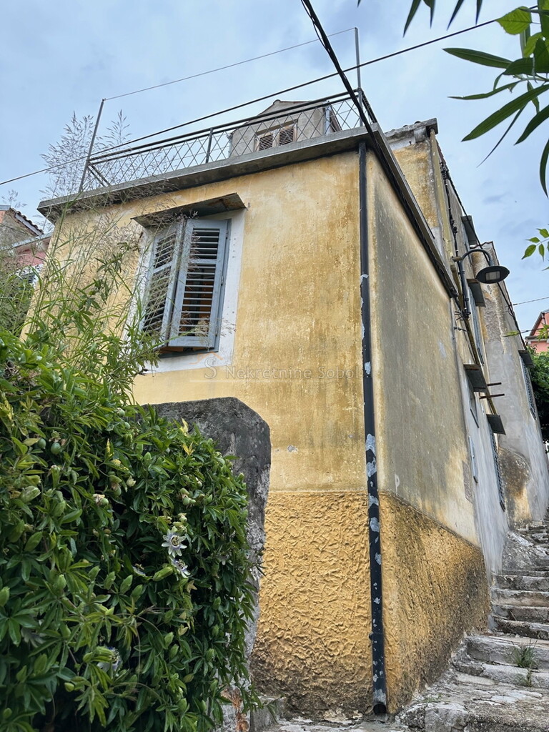 Image 6244914 - 1