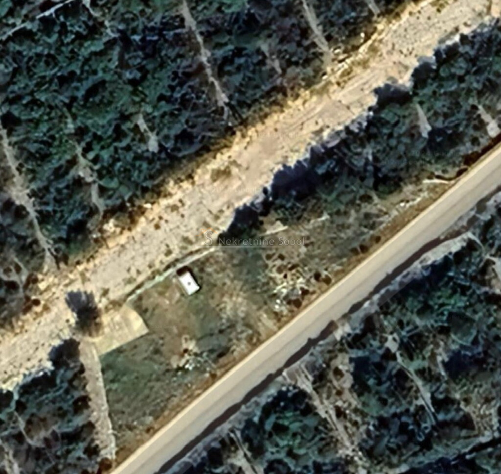 Image 6244915 - 2