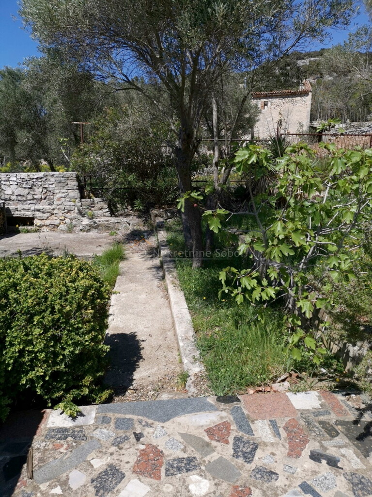 Image 6244917 - 15
