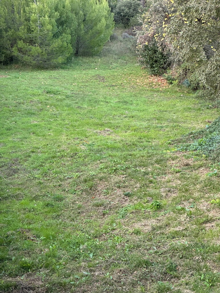 Image 6244918 - 1