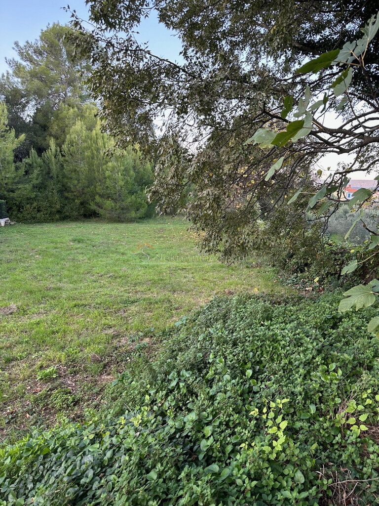 Image 6244918 - 6