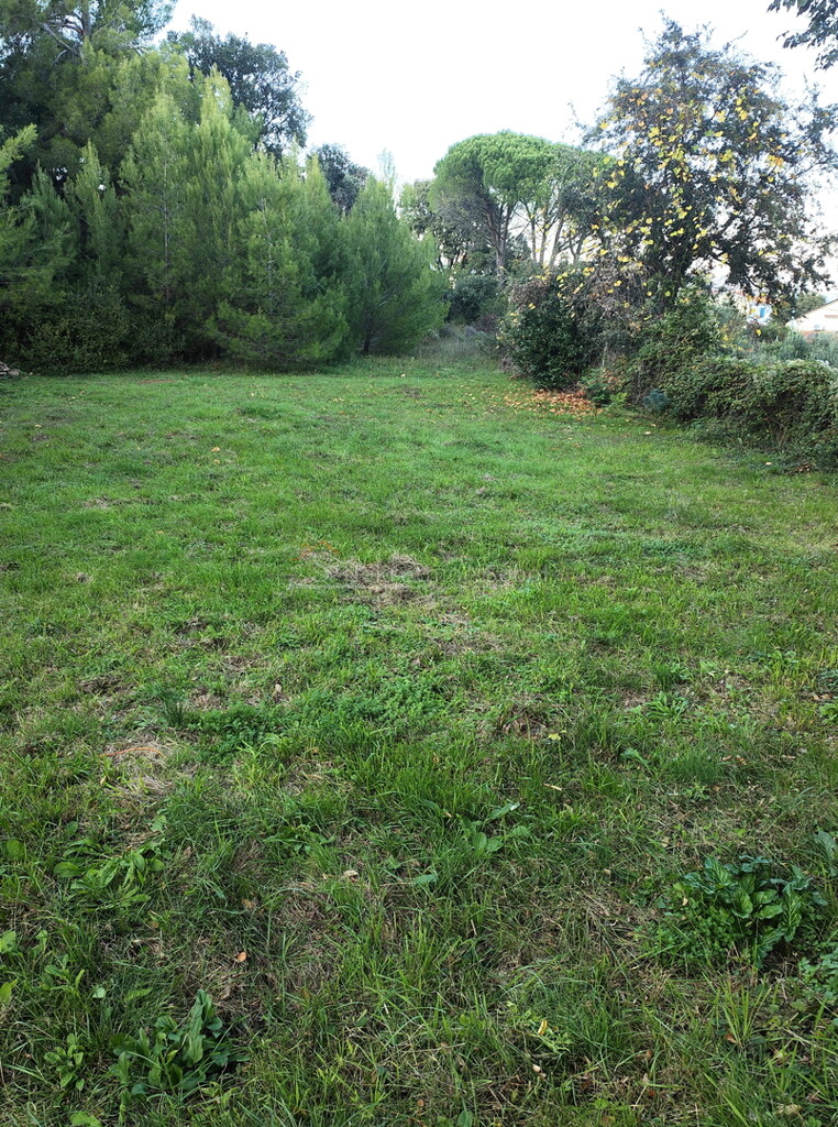 Image 6244918 - 2