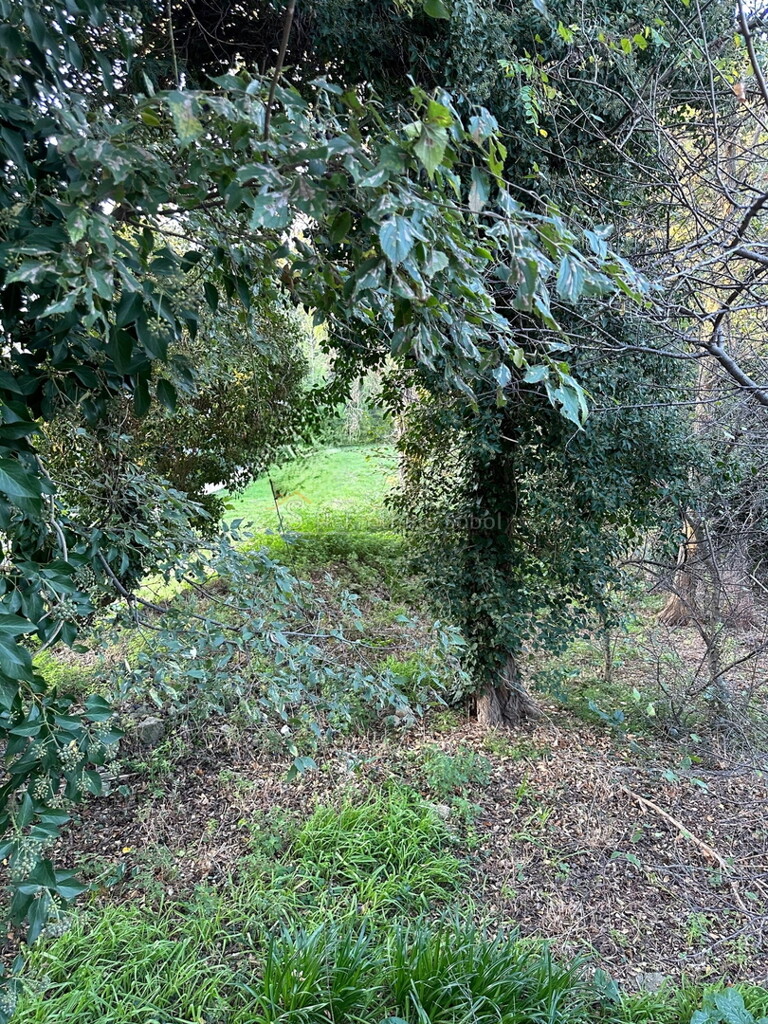 Image 6244918 - 7