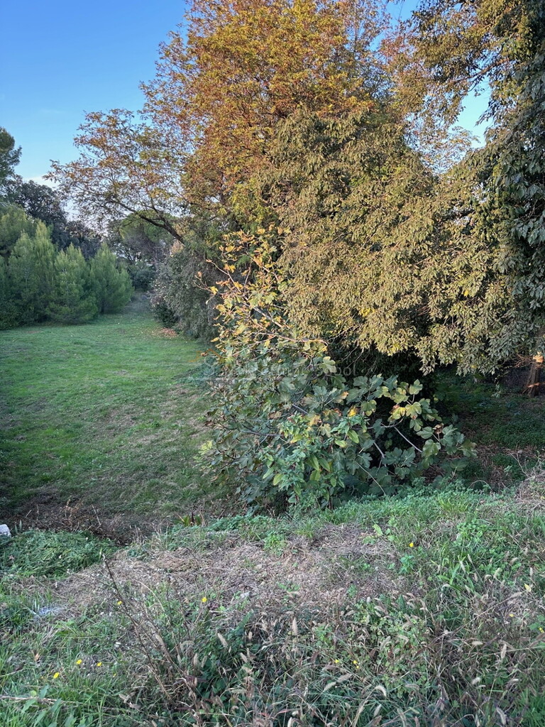 Image 6244918 - 8