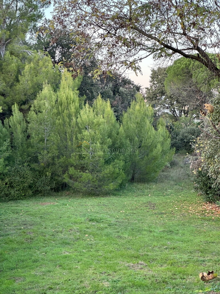 Image 6244918 - 3