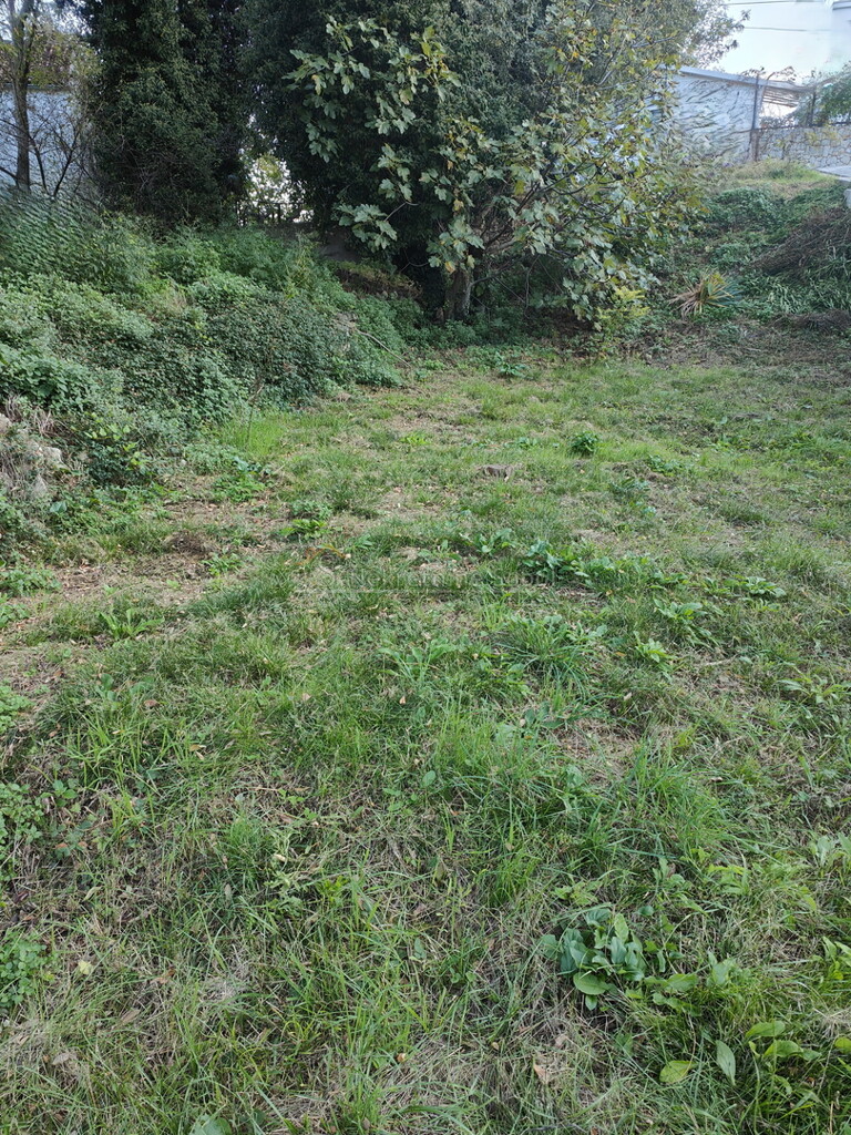 Image 6244918 - 9