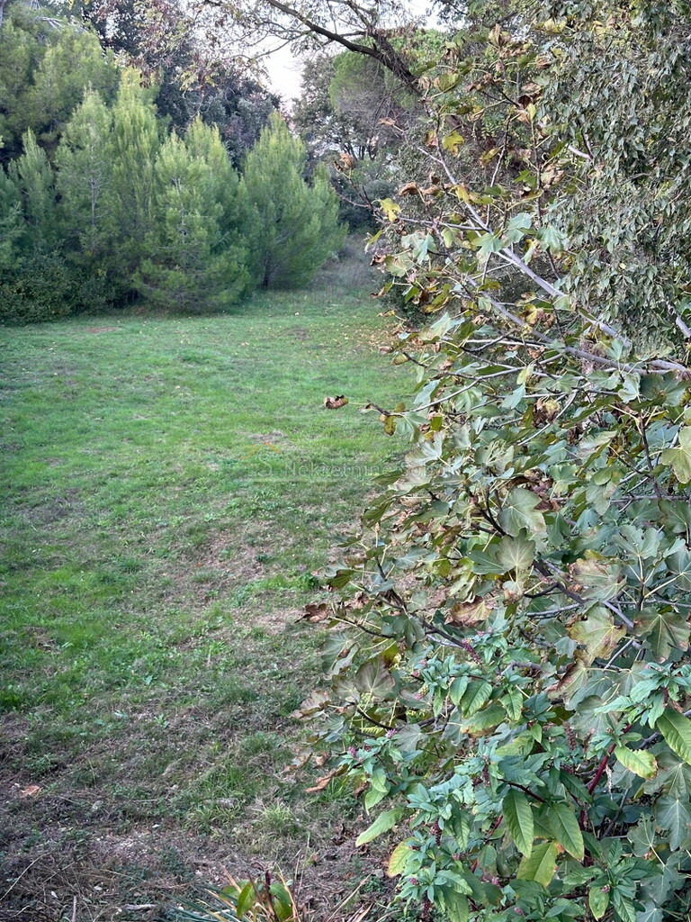 Image 6244918 - 5