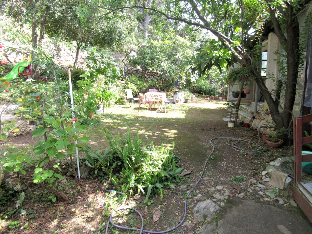 Image 6244921 - 4