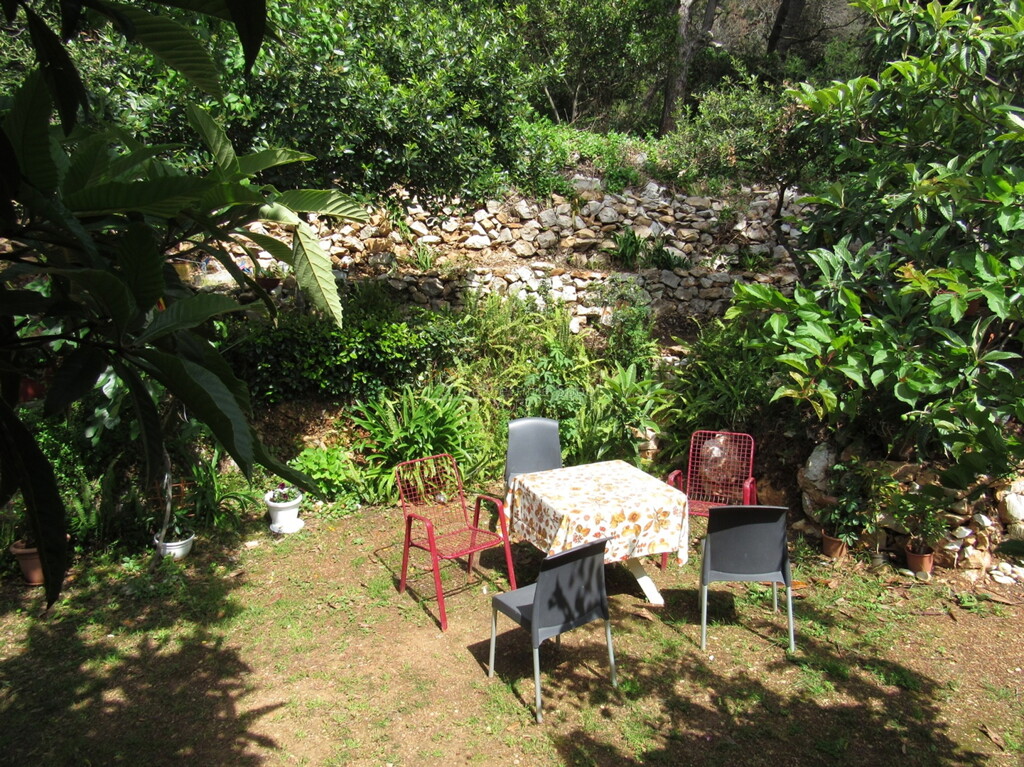 Image 6244921 - 3