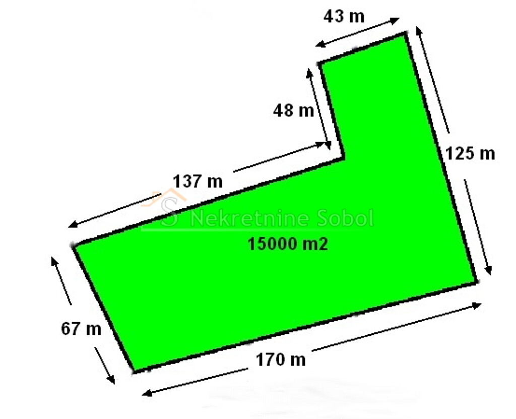 Image 6244924 - 2
