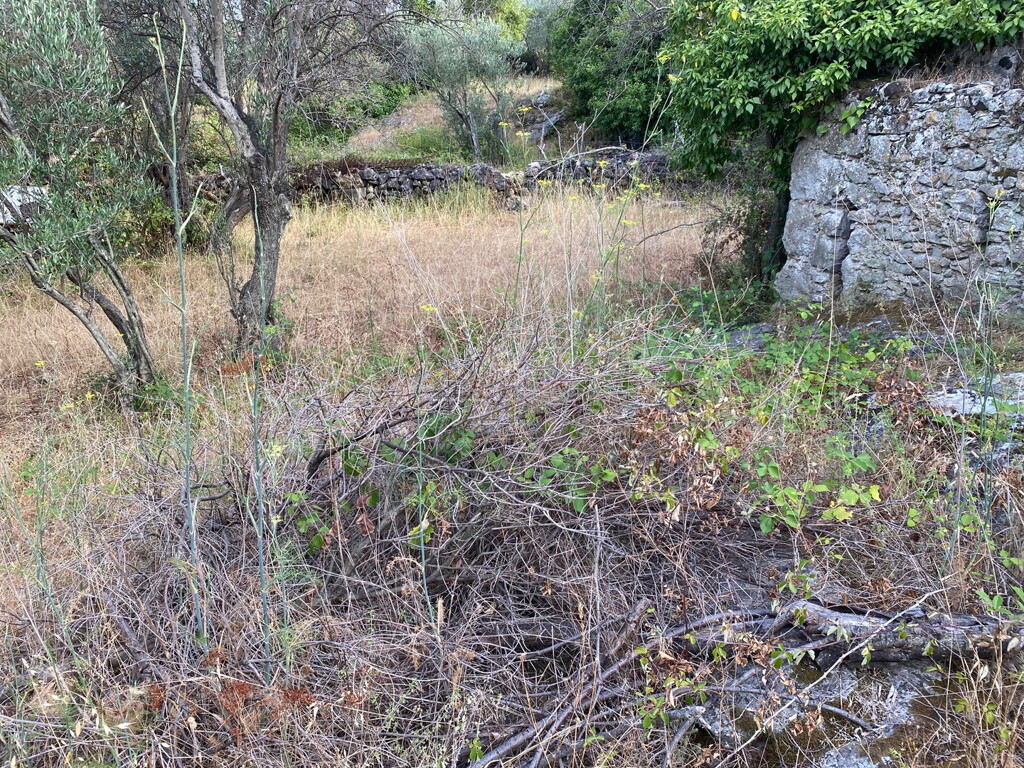 Image 6244926 - 10