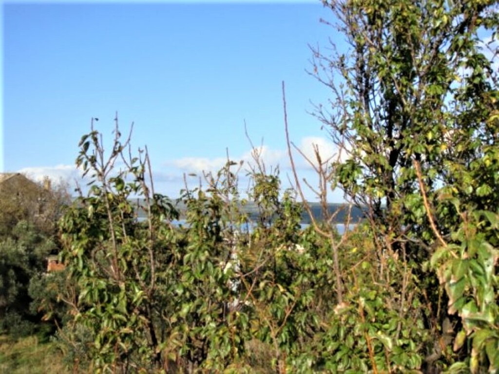 Image 6244926 - 17