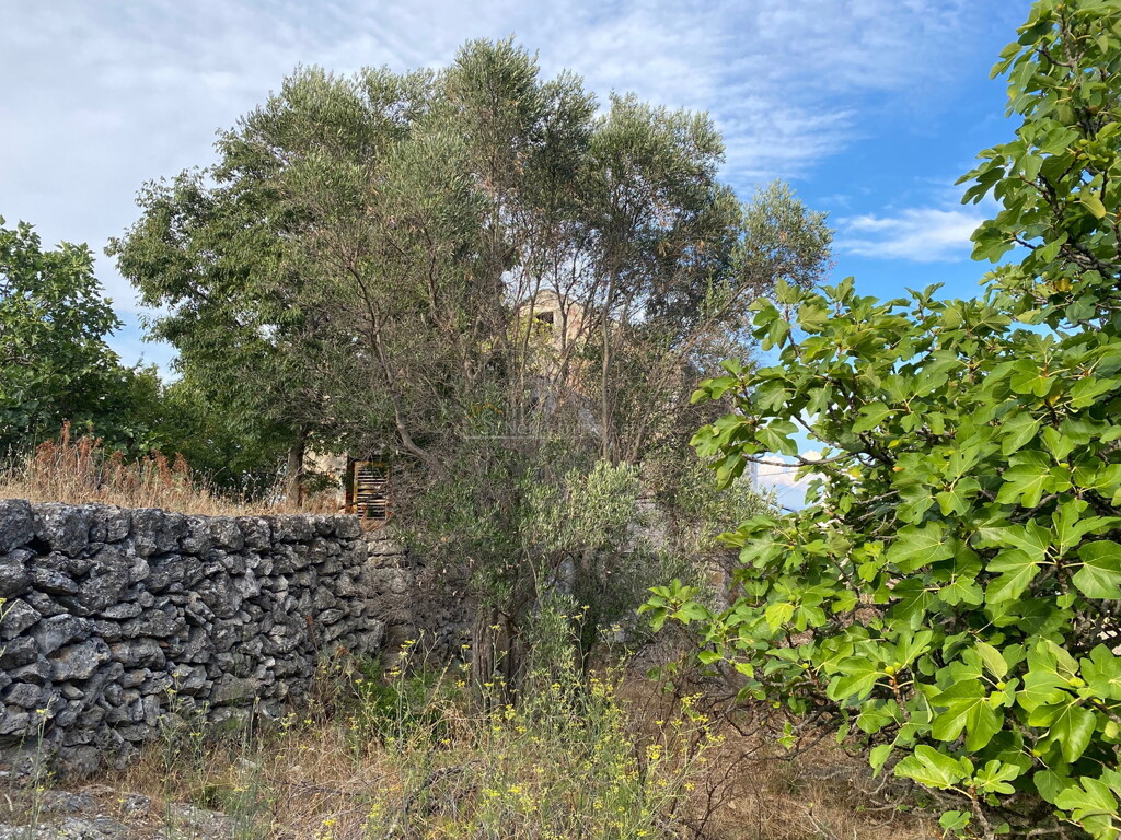 Image 6244926 - 8