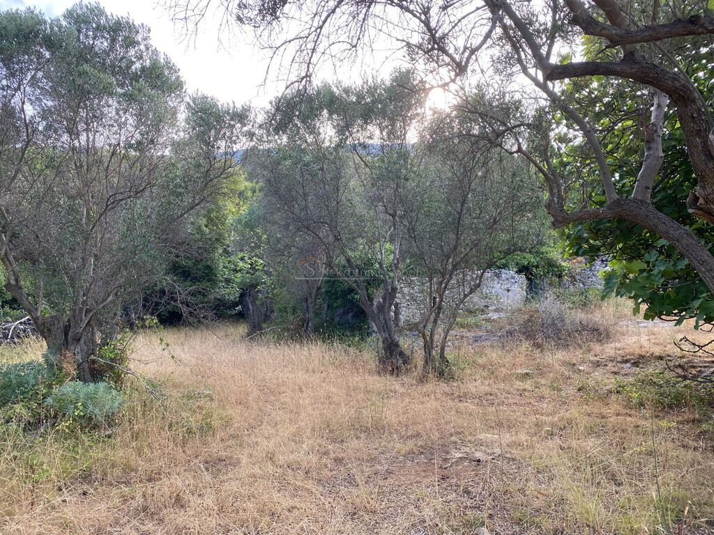 Image 6244926 - 5