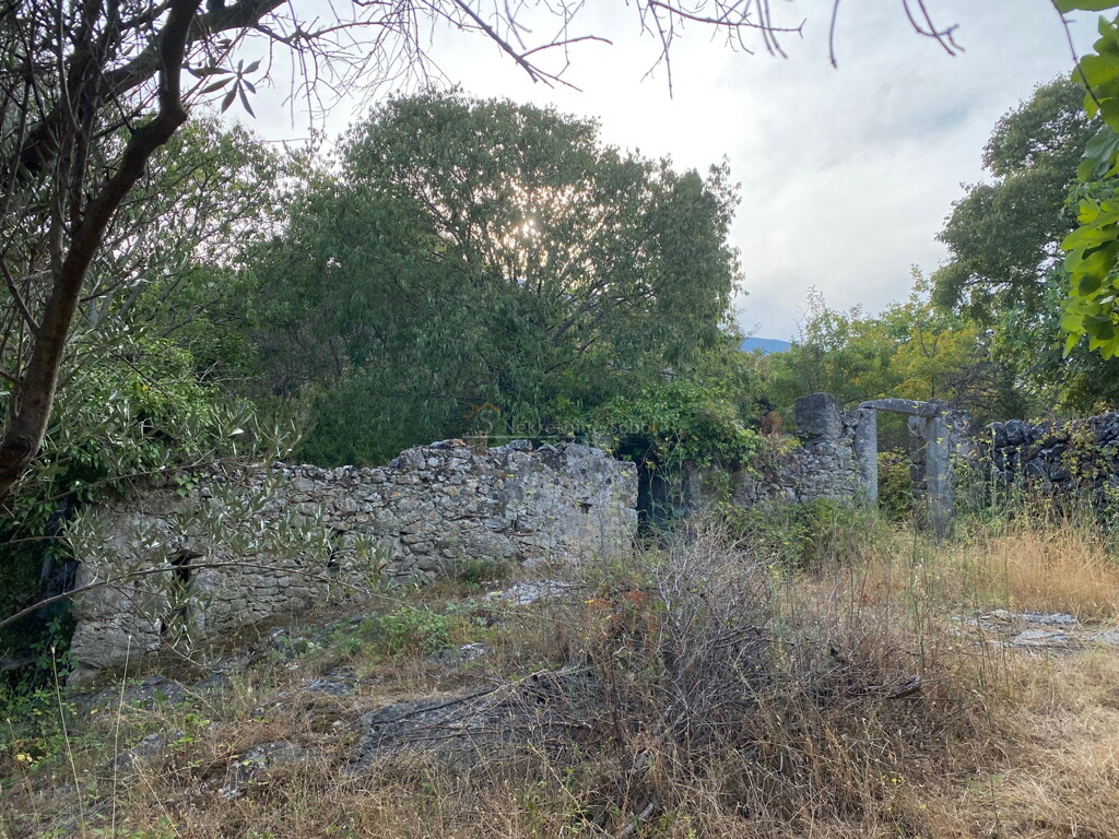 Image 6244926 - 6