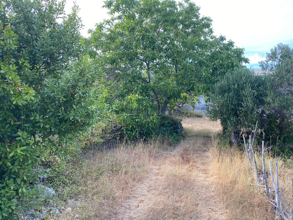 Image 6244926 - 2