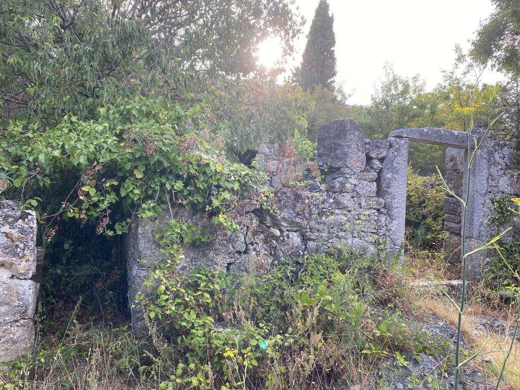 Image 6244926 - 7