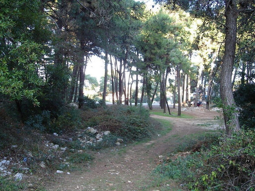Image 6244929 - 2
