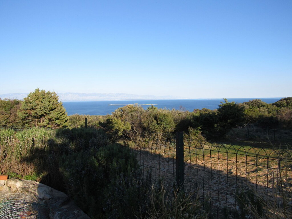 Image 6244937 - 4