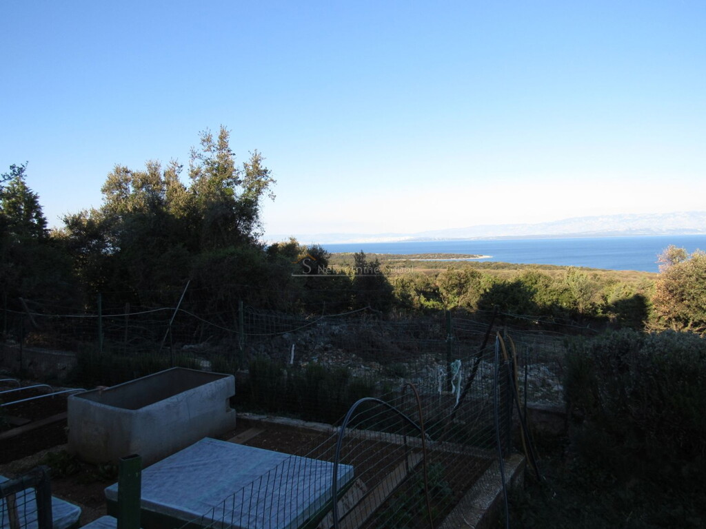 Image 6244937 - 6