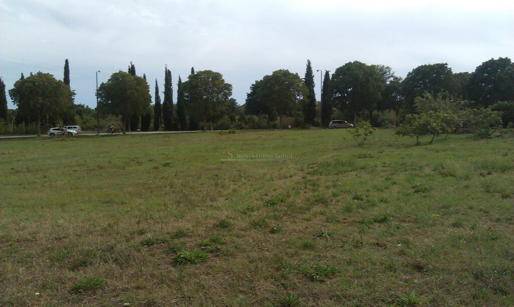 Image 6244939 - 2