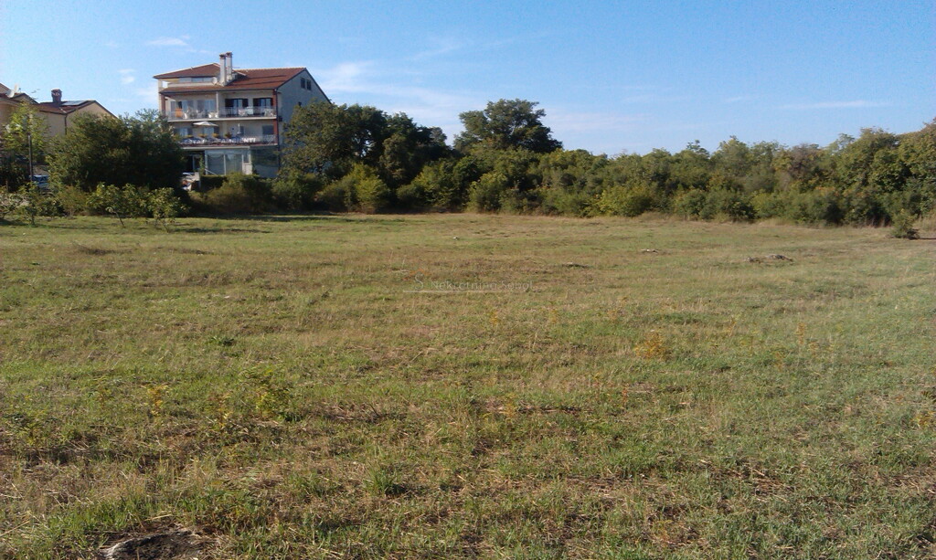 Image 6244939 - 1