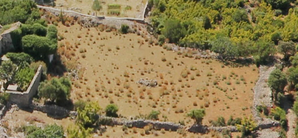 Image 6244940 - 1