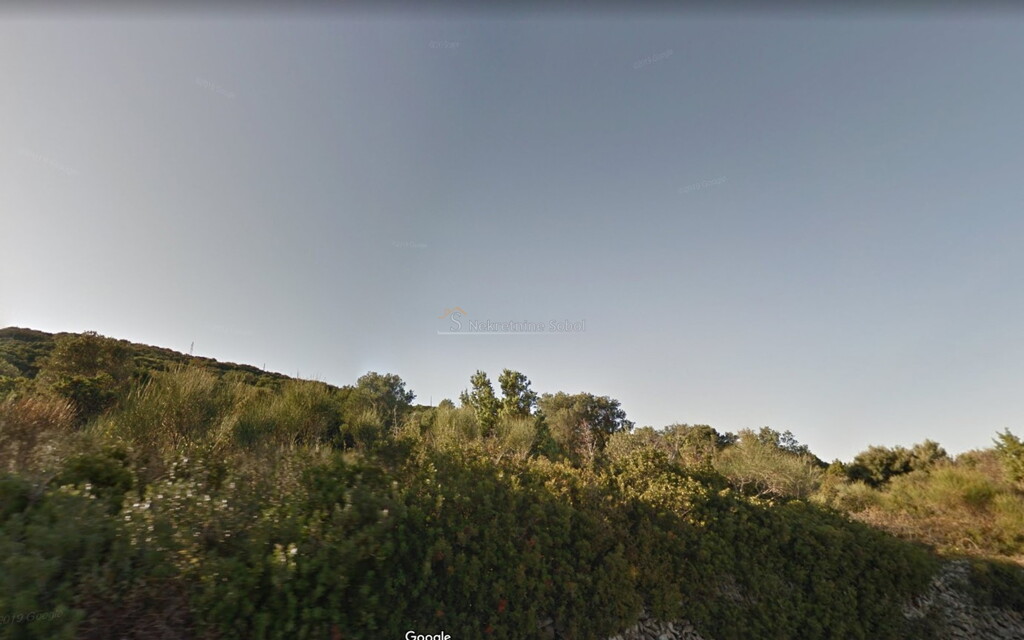 Image 6244959 - 2