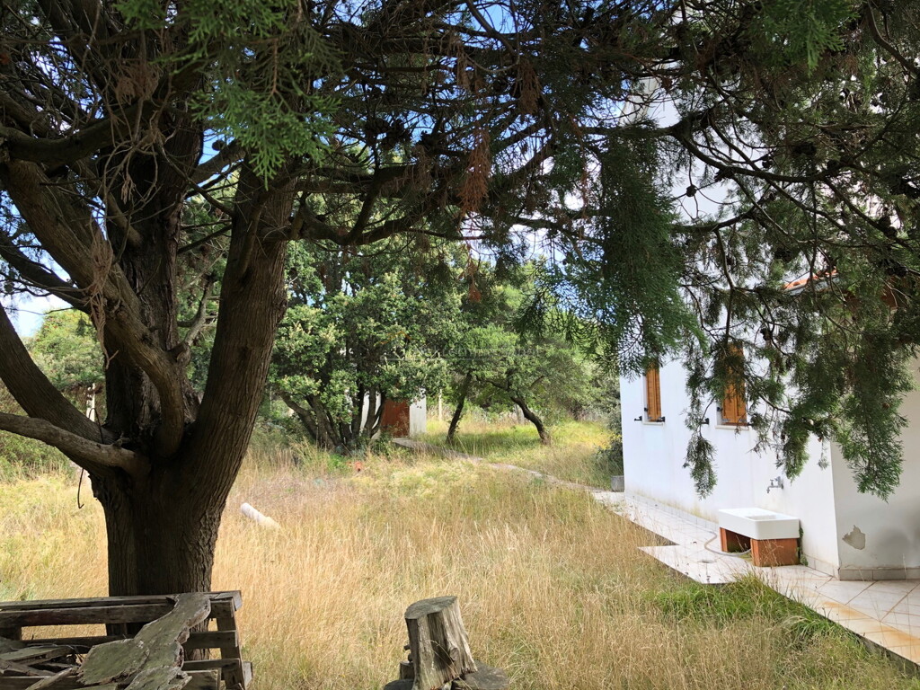 Image 6244964 - 4