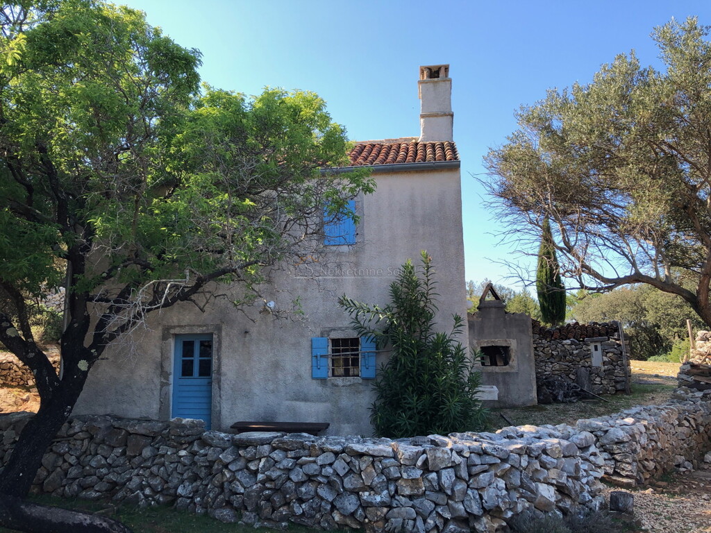Image 6244966 - 1