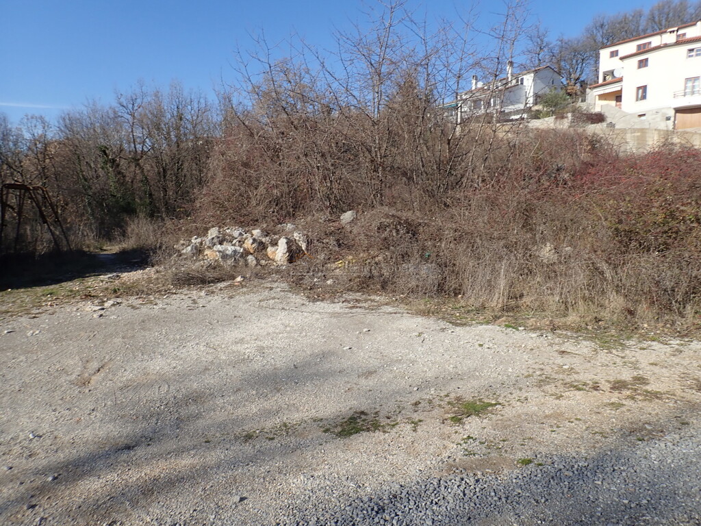 Image 6244968 - 5
