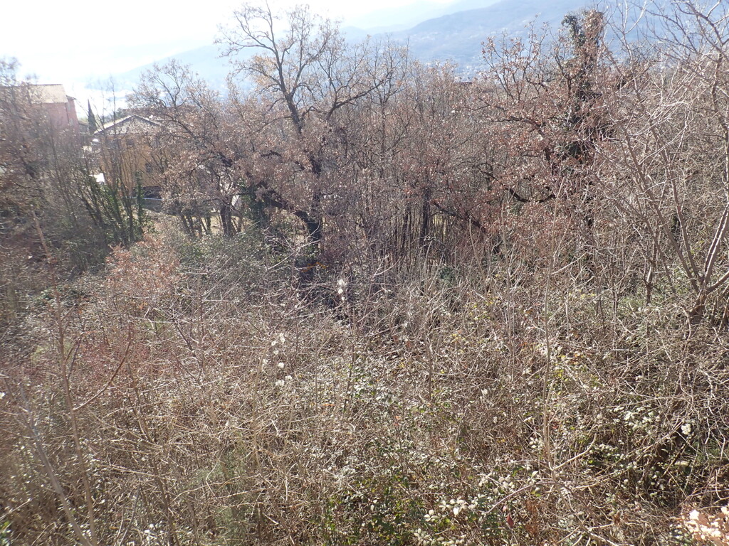 Image 6244968 - 2