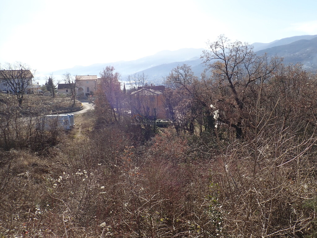 Image 6244968 - 4