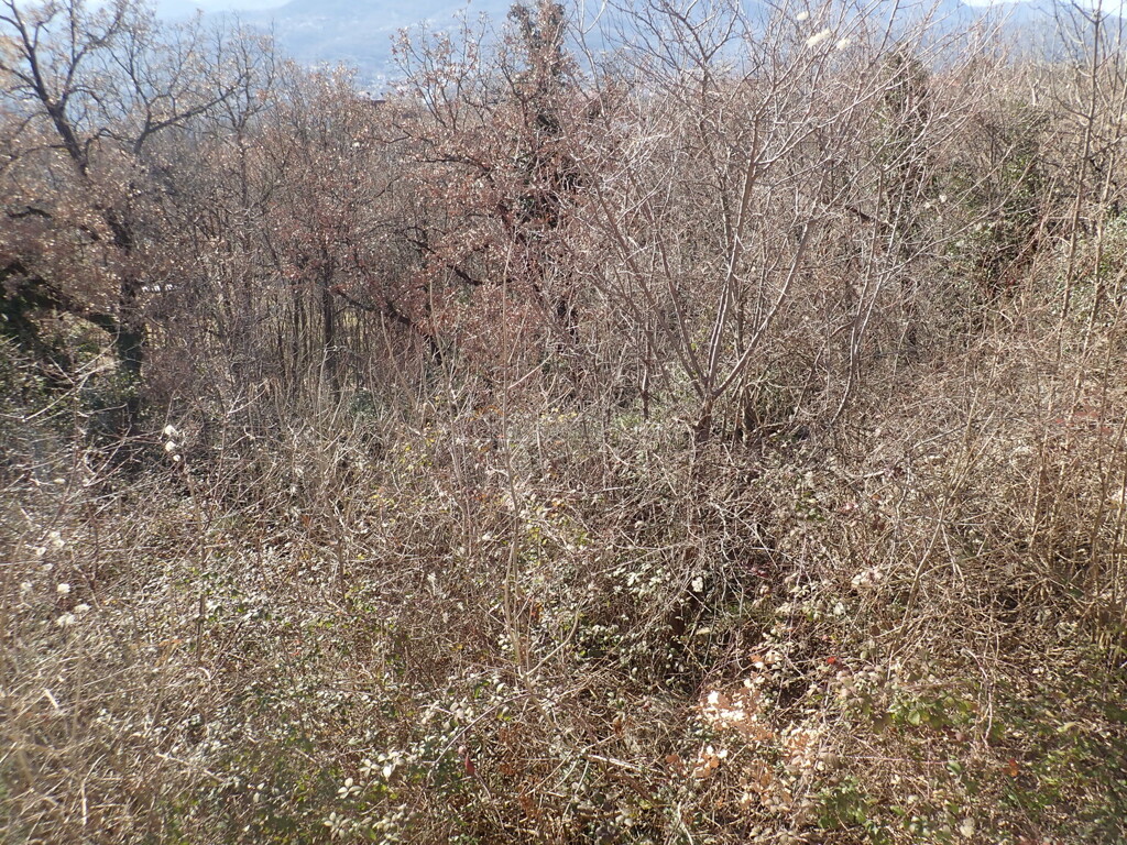 Image 6244968 - 3