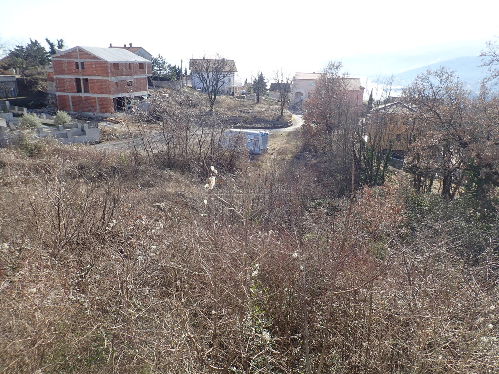Image 6244968 - 1