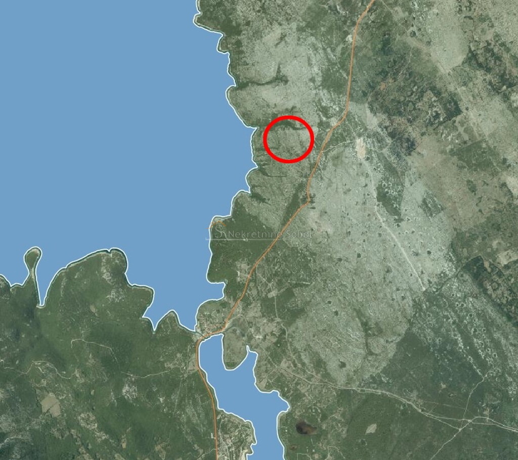Image 6244969 - 1