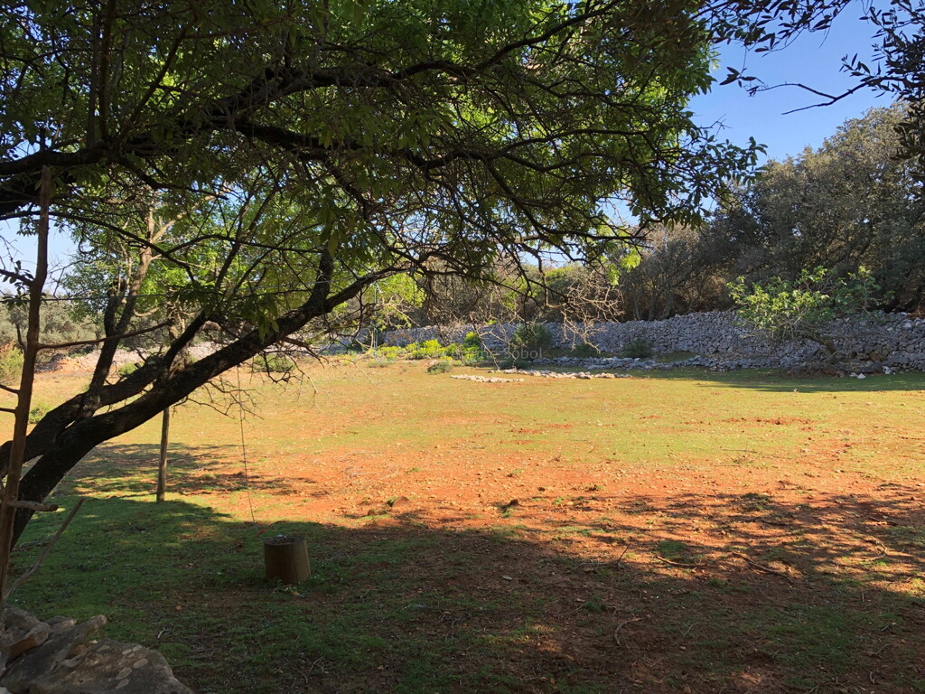 Image 6244970 - 6
