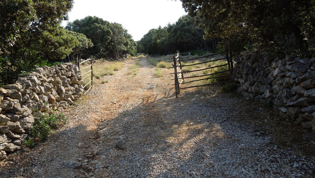 Image 6244970 - 3