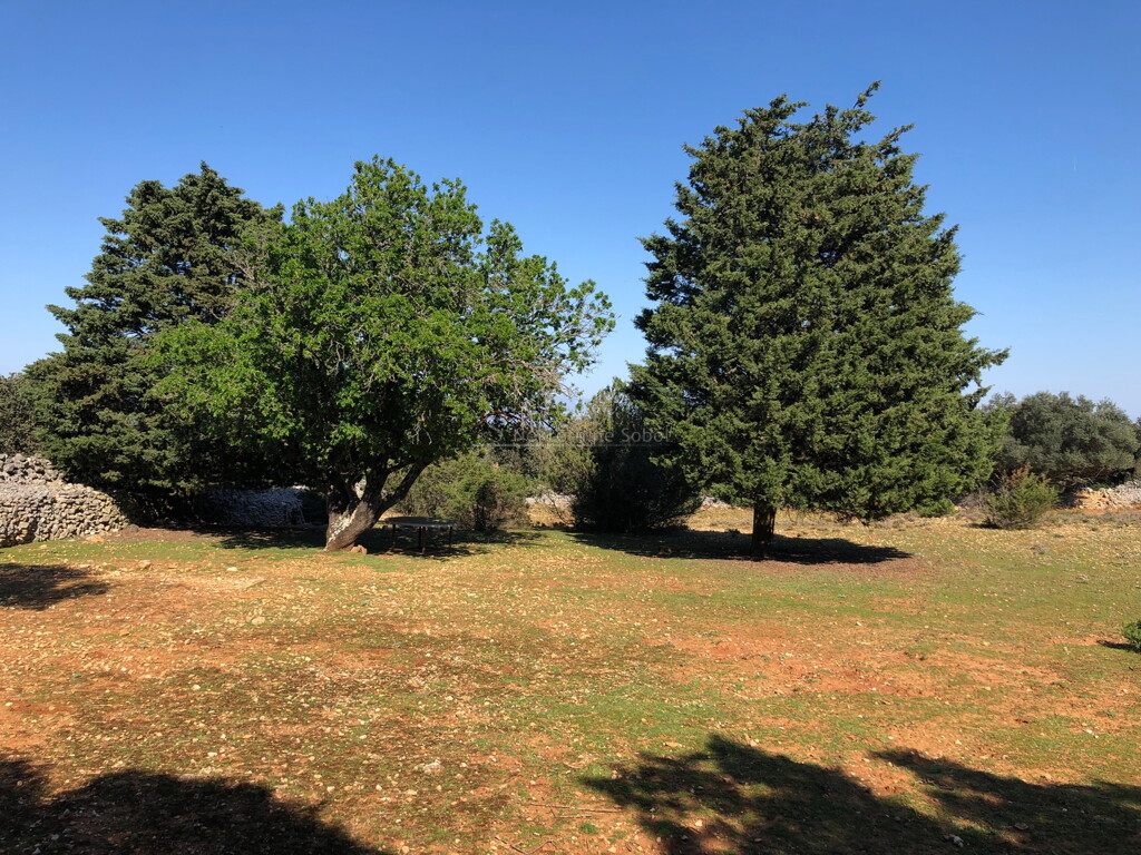 Image 6244970 - 5
